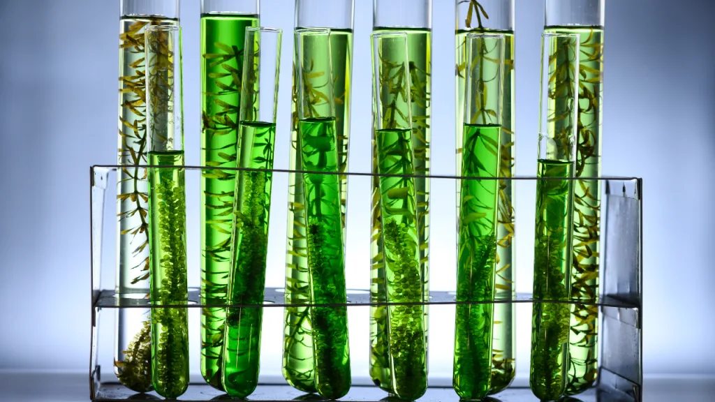 Test tubes
