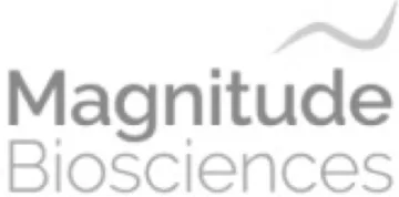 Magnitude